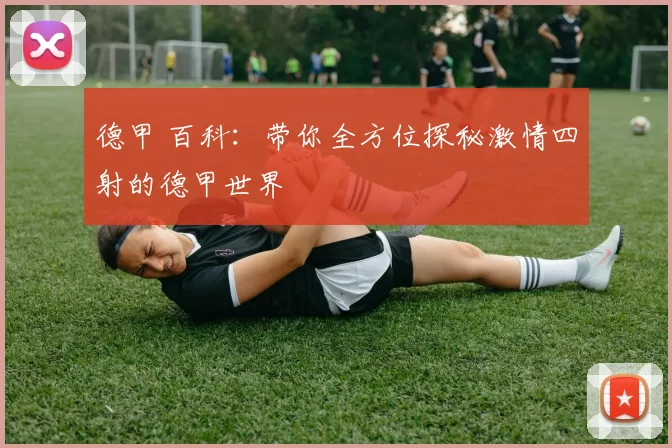 德甲 百科：带你全方位探秘激情四射的德甲世界