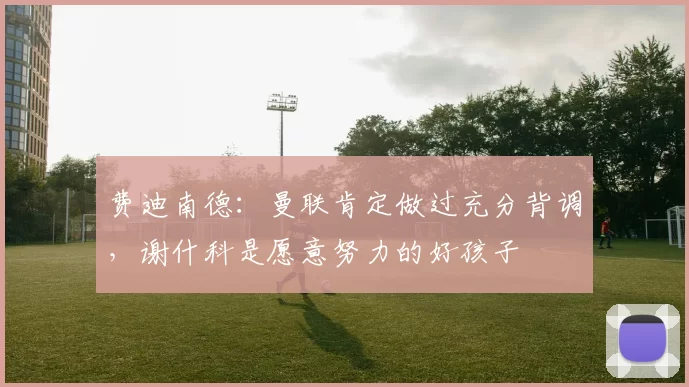 费迪南德:曼联肯定做过充分背调,谢什科是愿意努力的好孩子