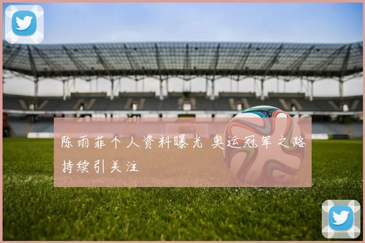 陈雨菲个人资料曝光 奥运冠军之路持续引关注