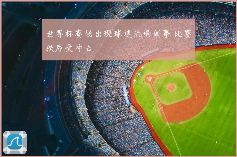 世界杯赛场出现球迷流氓闹事 比赛秩序受冲击