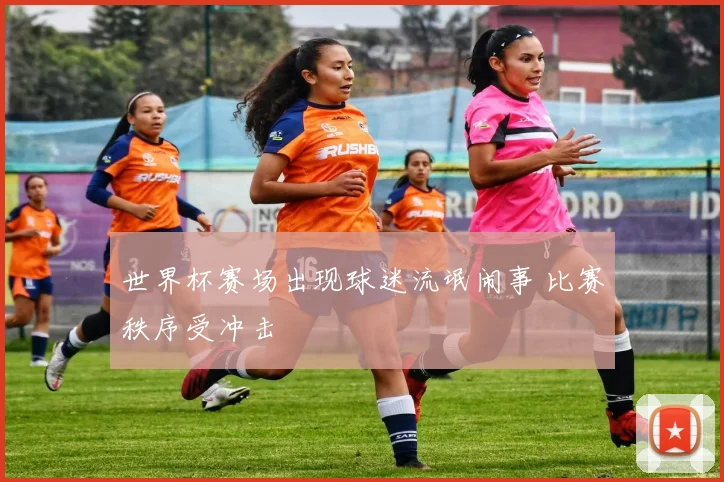 世界杯赛场出现球迷流氓闹事 比赛秩序受冲击