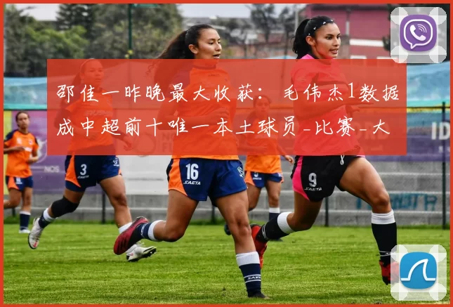 邵佳一昨晚最大收获：毛伟杰1数据成中超前十唯一本土球员_比赛_大连_防守