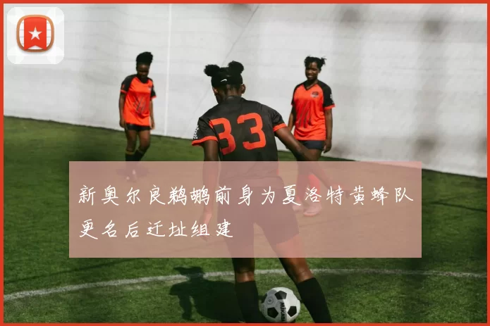 新奥尔良鹈鹕前身为夏洛特黄蜂队更名后迁址组建