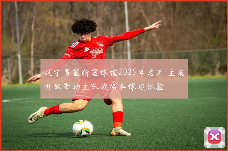 辽宁男篮新篮球馆2025年启用 主场升级带动主队战绩和球迷体验